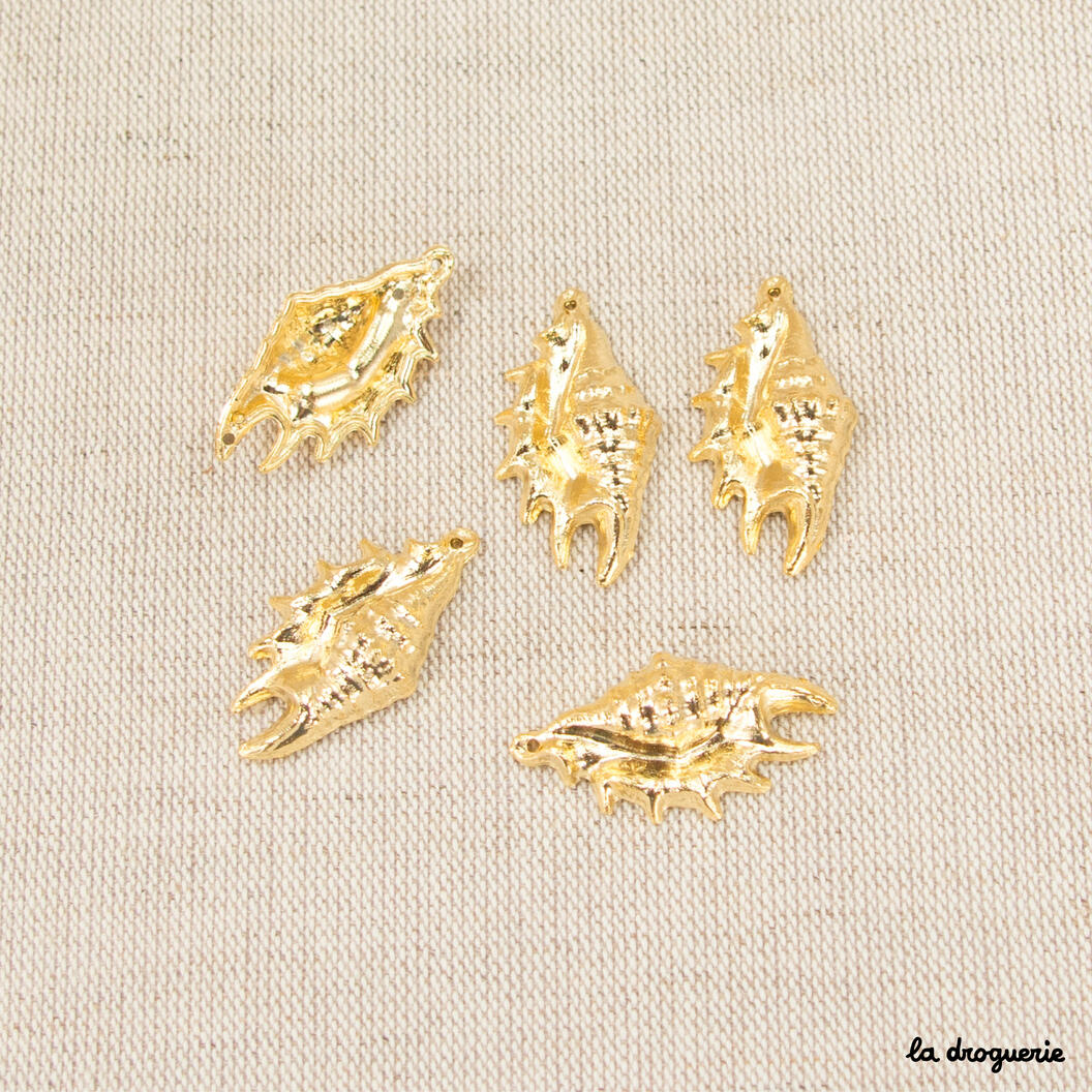 Perle "Coquille de …" 23à34 mm – Doré Lambis