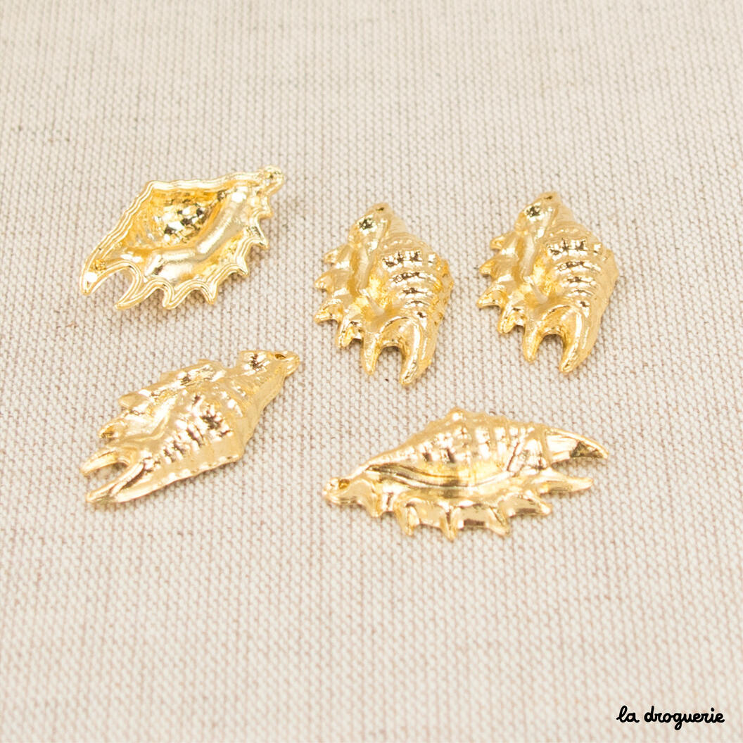 Perle "Coquille de …" 23à34 mm – Doré Lambis